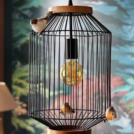La Cage Aux Oiseaux * 翁弗勒尔