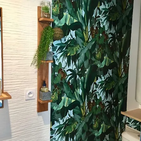 公寓 La Cage Aux Oiseaux 翁弗勒尔
